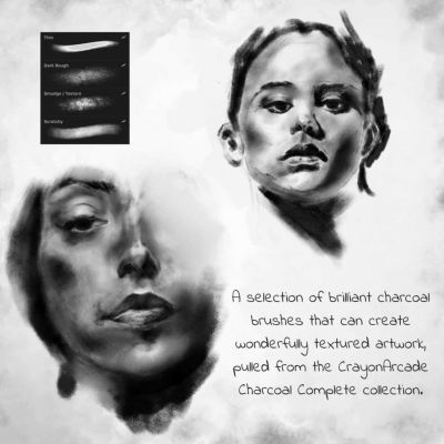 Charcoal brushes