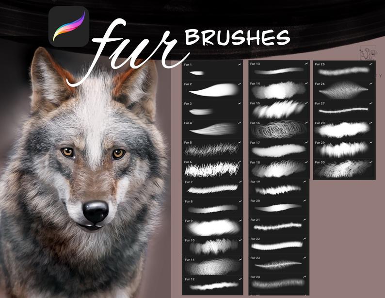FUR brushes for PROCREATE [Free and Premium] – BrushWarriors